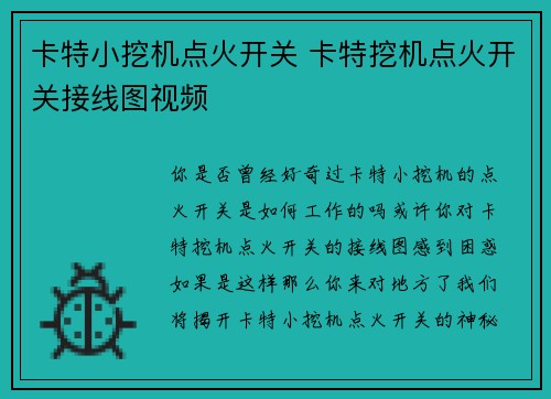 卡特小挖机点火开关 卡特挖机点火开关接线图视频